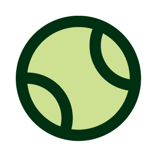 Pelota