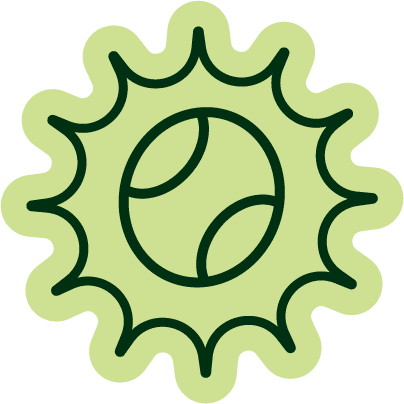 Pelotazo